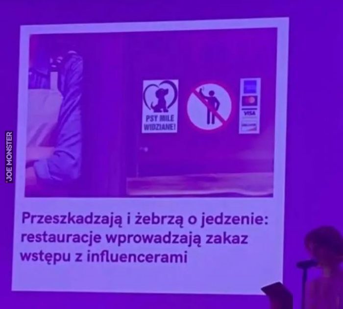 PSY MILE WIDZIANE! Przeszkadzają i żebrzą o jedzenie: restauracje wprowadzają zakaz
wstępu z influencerami