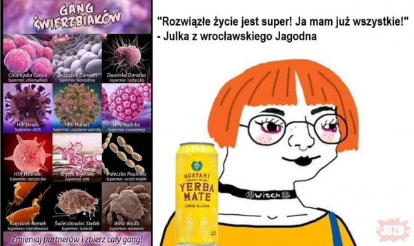 Złap je wszystkie