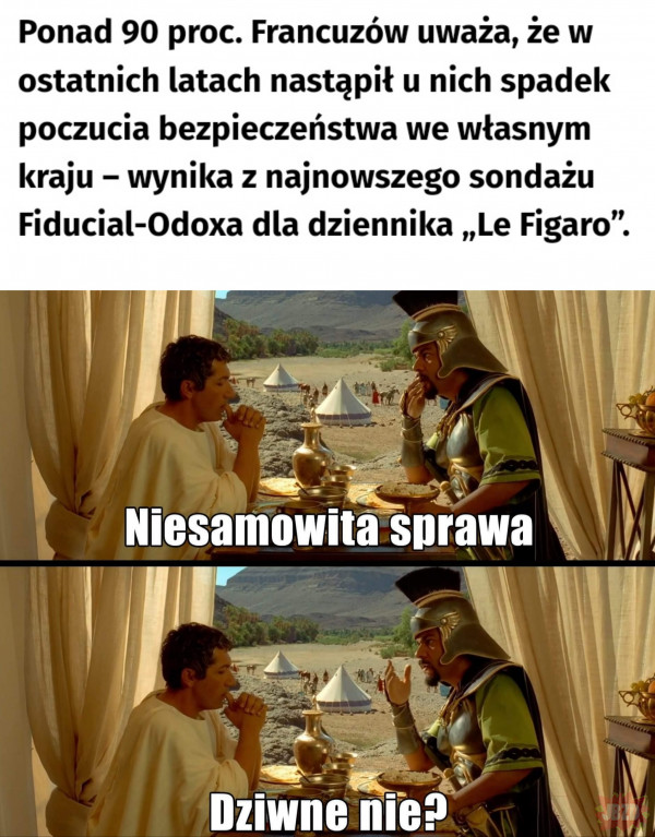 No kto by się spodziewał?!