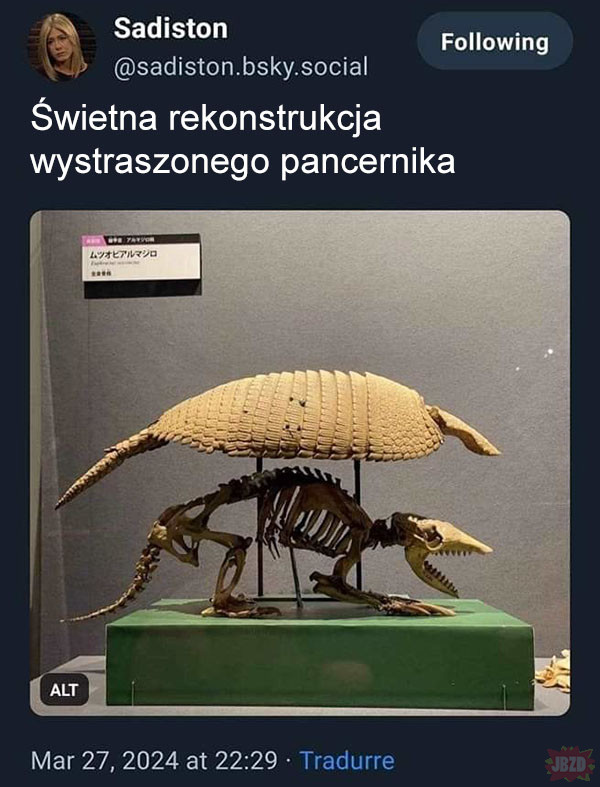 Wystraszony pancernik