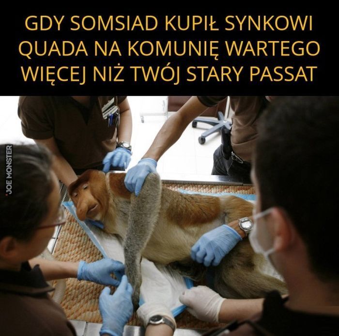 GDY SOMSIAD KUPIŁ SYNKOWI QUADA NA KOMUNIĘ WARTEGO WIĘCEJ NIŻ TWÓJ STARY PASSAT