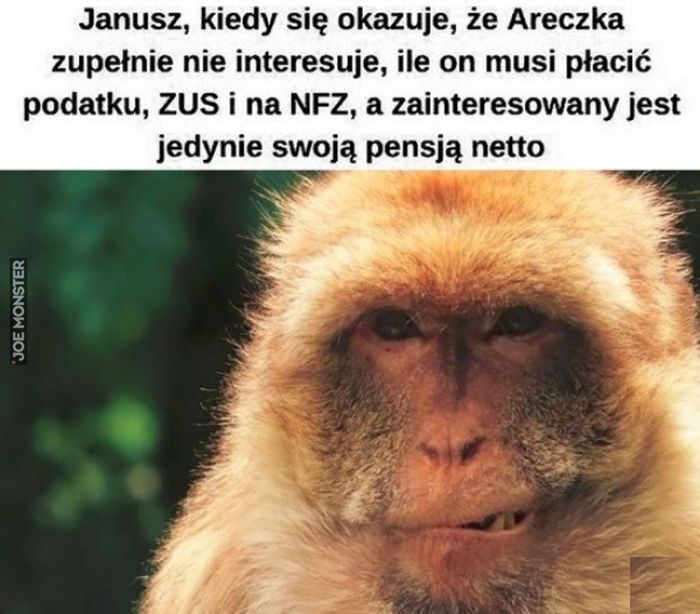 Janusz, kiedy się okazuje, że Areczka zupełnie nie interesuje, ile on musi płacić podatku, ZUS i na NFZ, a zainteresowany jest jedynie swoją pensją netto