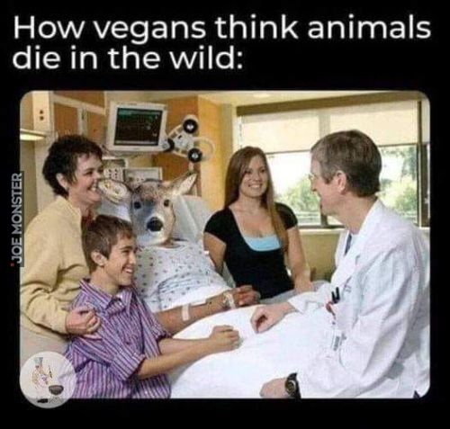 How vegans think animals
die in the wild: