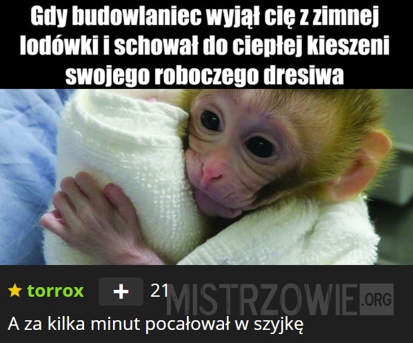 Budowlaniec –>