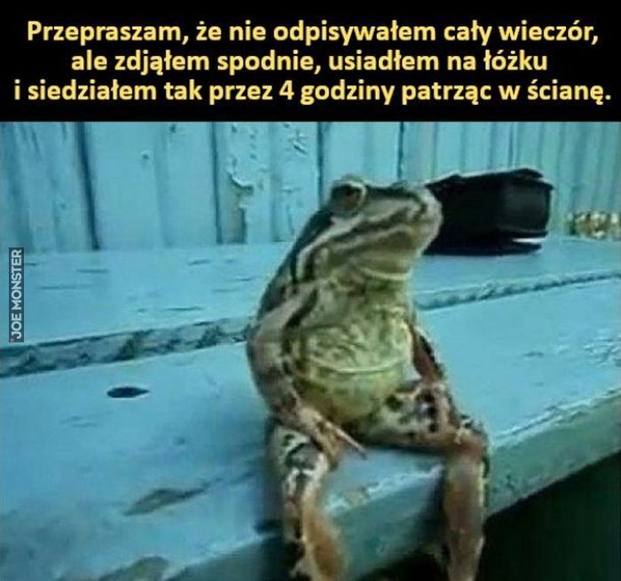 Przepraszam, że nie odpisywałem cały wieczór, ale zdjąłem spodnie, usiadłem na łóżku
i siedziałem tak przez 4 godziny patrząc w ścianę.