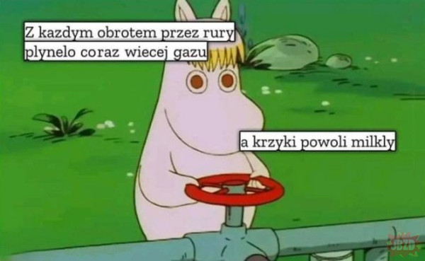 Krzyki