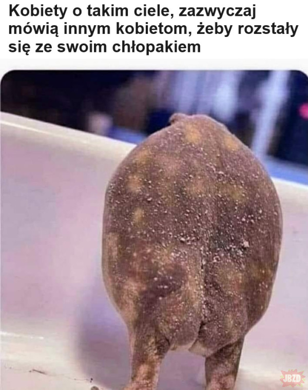 Adwokat się znalazł