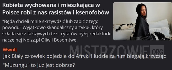 Artykuł –