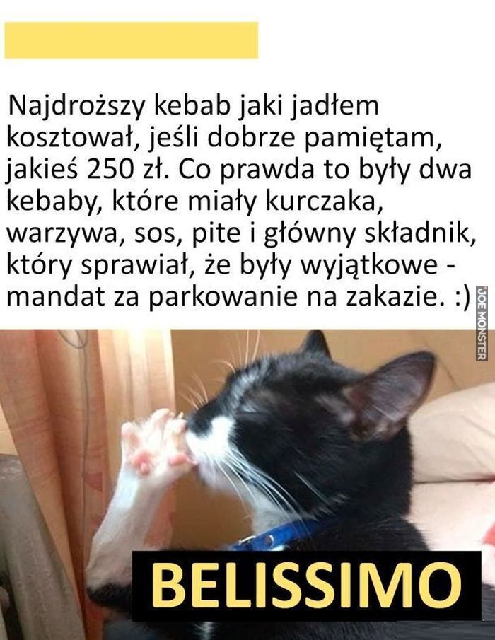 Najdroższy kebab jaki jadłem kosztował, jeśli dobrze pamiętam, jakieś 250 zł. Co prawda to były dwa kebaby, które miały kurczaka, warzywa, sos, pite i główny składnik, który sprawiał, że były wyjątkowe - mandat za parkowanie na zakazie. :