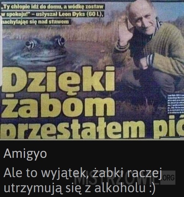 Żaby –