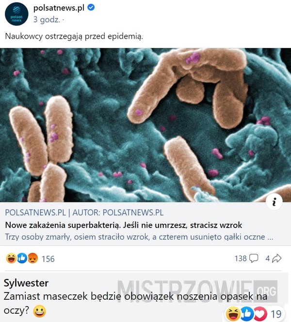 Bakteria –>